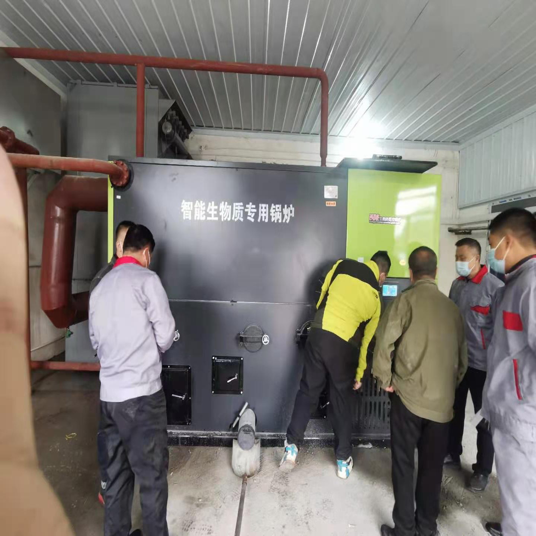 梅河口海龍鎮中心衛生院1噸生物質春風鍋爐